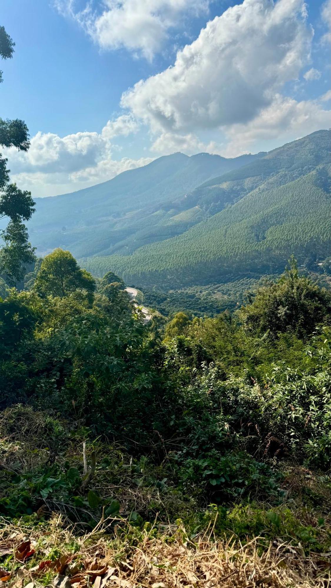 Magoebaskloof Mountain Lodge Тзанеен Екстериор снимка